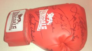 Multi Signed Heavyweight Champions Glove